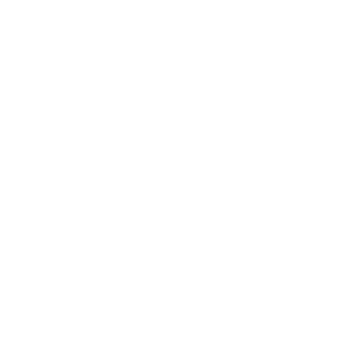 Logo INAGS
